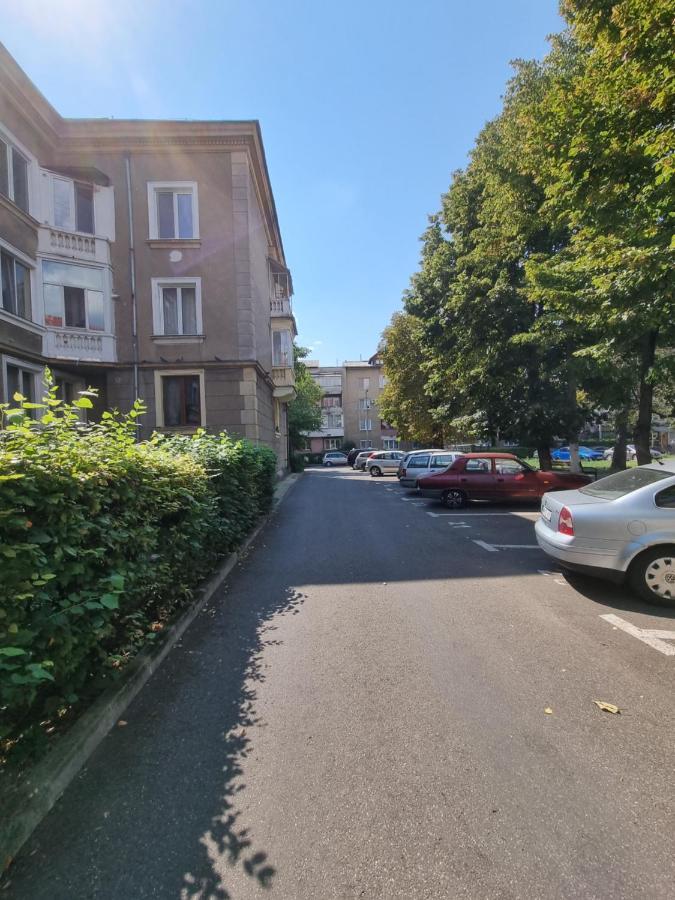 באיה מארה Ultra-Central 1 Bed Apartment, Str Nicolae Iorga מראה חיצוני תמונה