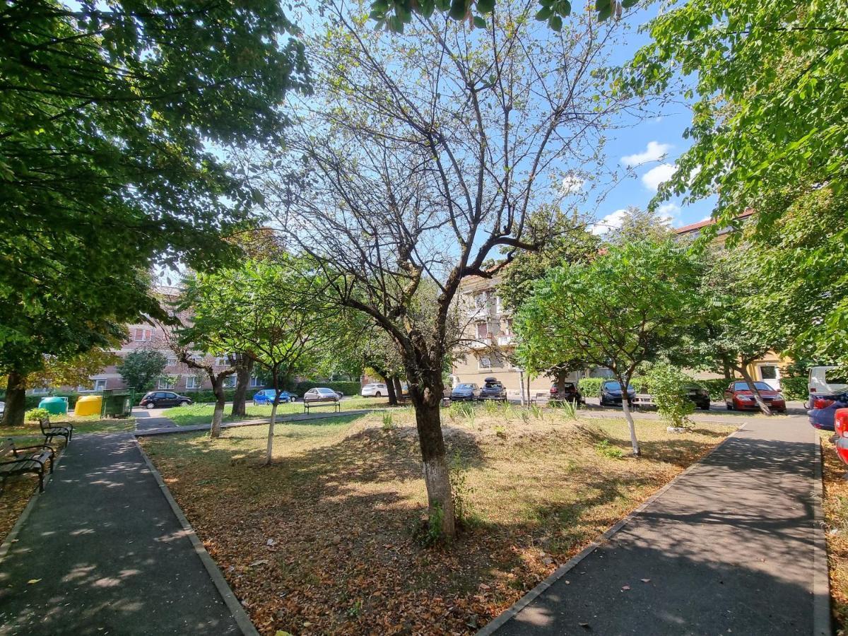 באיה מארה Ultra-Central 1 Bed Apartment, Str Nicolae Iorga מראה חיצוני תמונה